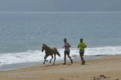 100KM DEL CARIBE | 100K 2016